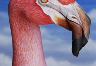 Flamingo - Ph. Guido Daniele